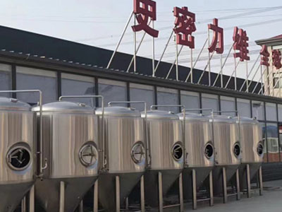 金湖精酿啤酒设备厂—市场规模与跨界新需求